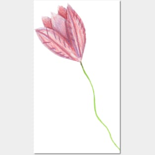 Tulip Posters and Art